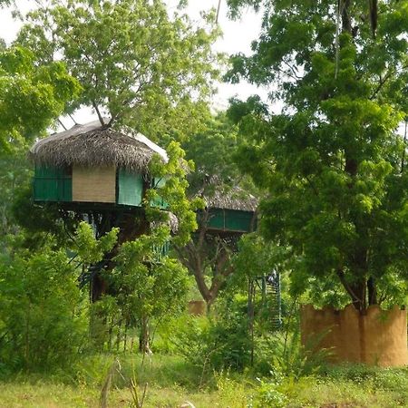 Yala Beddegama Eco Otel Kataragama Dış mekan fotoğraf