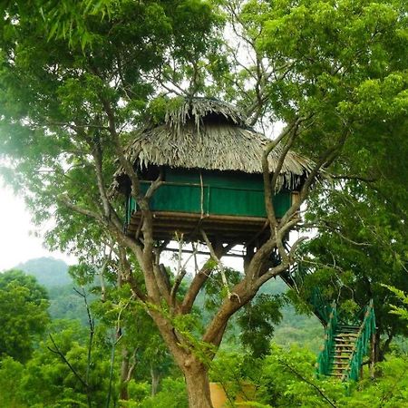 Yala Beddegama Eco Otel Kataragama Dış mekan fotoğraf