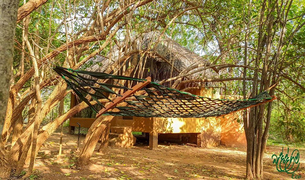 Yala Beddegama Eco Otel Kataragama Dış mekan fotoğraf
