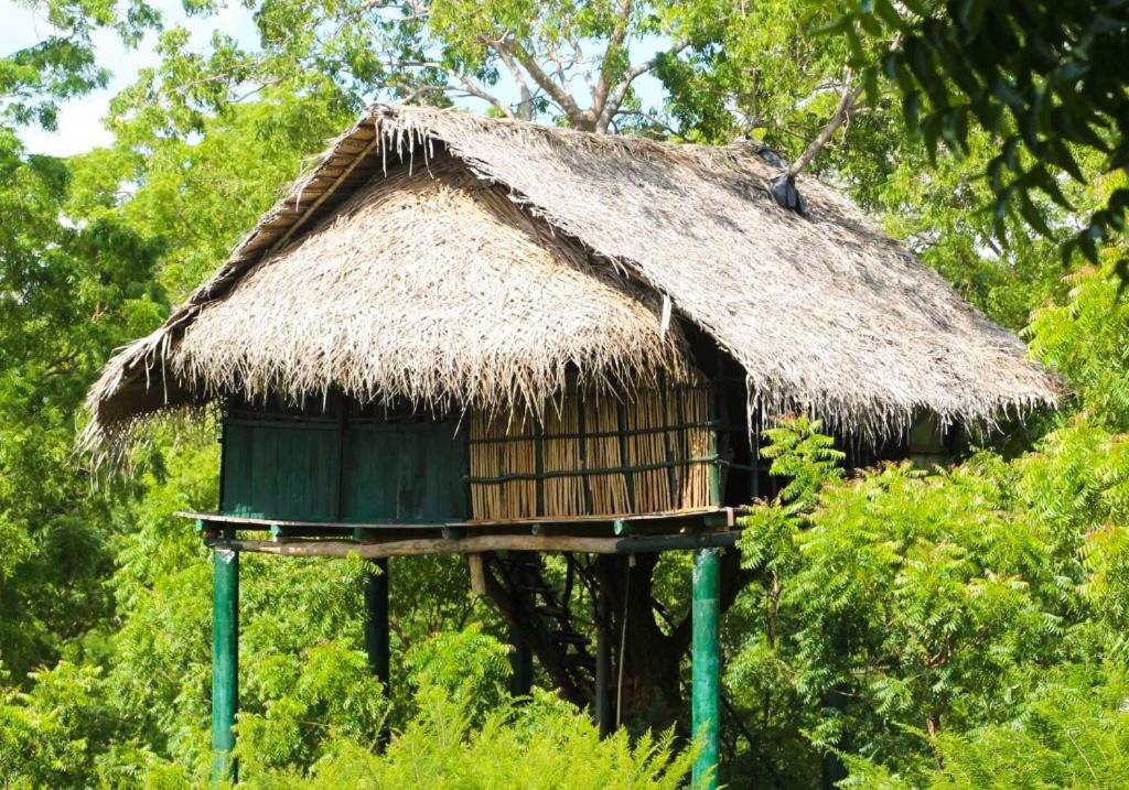 Yala Beddegama Eco Otel Kataragama Dış mekan fotoğraf