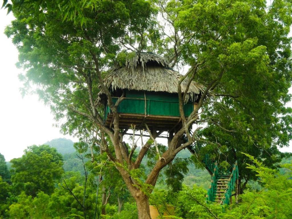 Yala Beddegama Eco Otel Kataragama Dış mekan fotoğraf