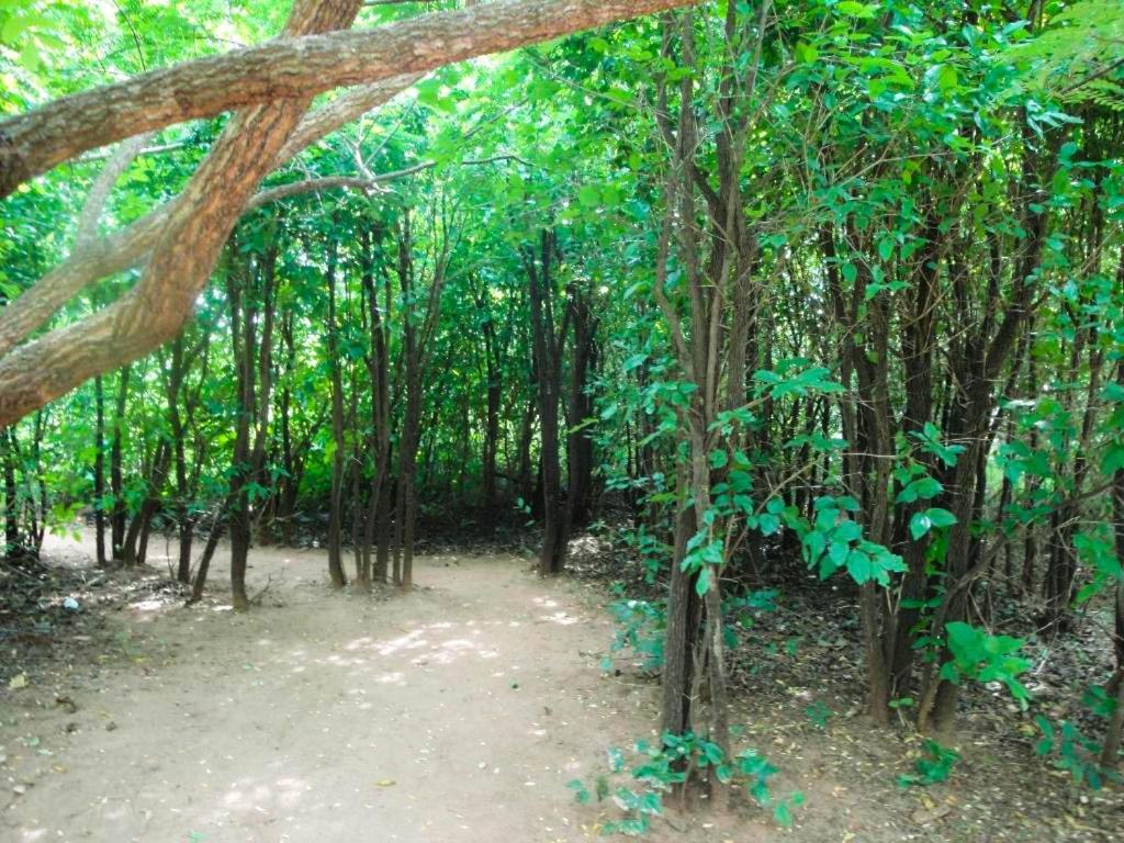 Yala Beddegama Eco Otel Kataragama Dış mekan fotoğraf