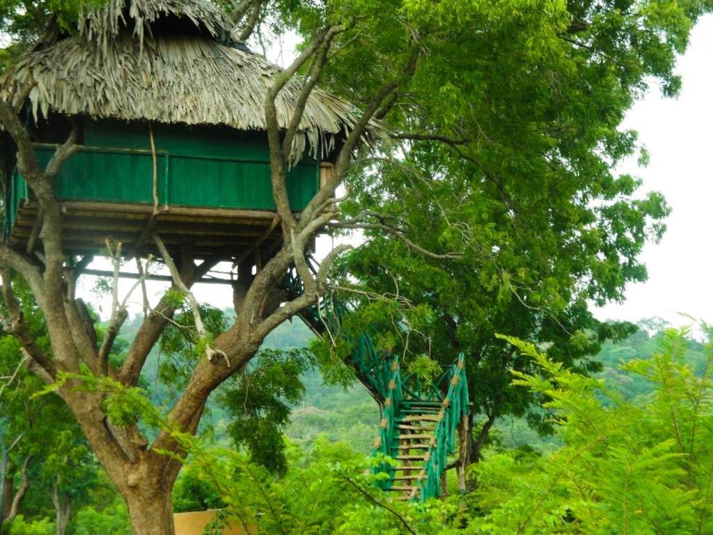 Yala Beddegama Eco Otel Kataragama Dış mekan fotoğraf