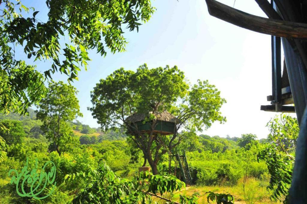Yala Beddegama Eco Otel Kataragama Dış mekan fotoğraf