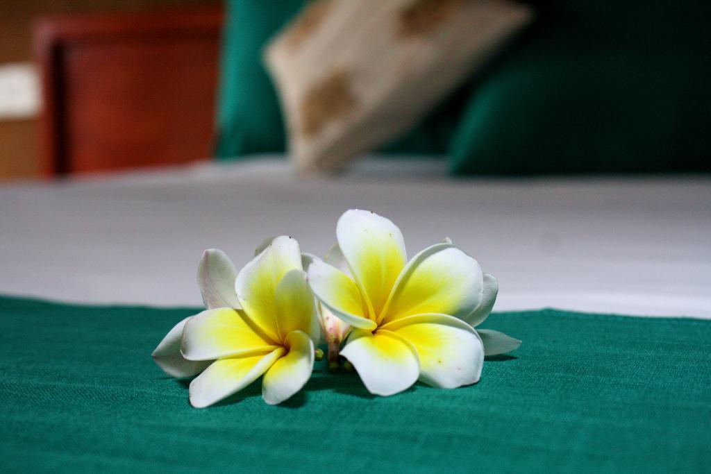 Yala Beddegama Eco Otel Kataragama Oda fotoğraf
