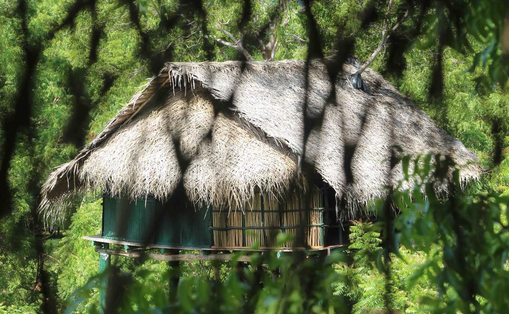 Yala Beddegama Eco Otel Kataragama Dış mekan fotoğraf