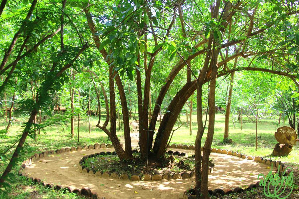 Yala Beddegama Eco Otel Kataragama Dış mekan fotoğraf