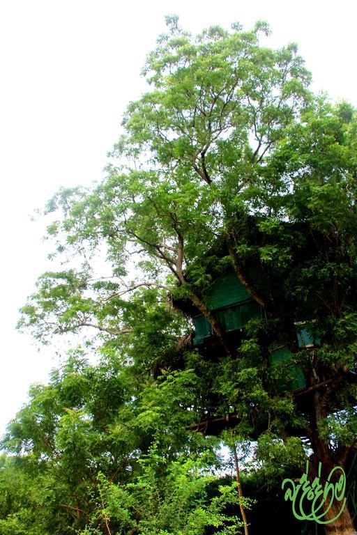 Yala Beddegama Eco Otel Kataragama Dış mekan fotoğraf