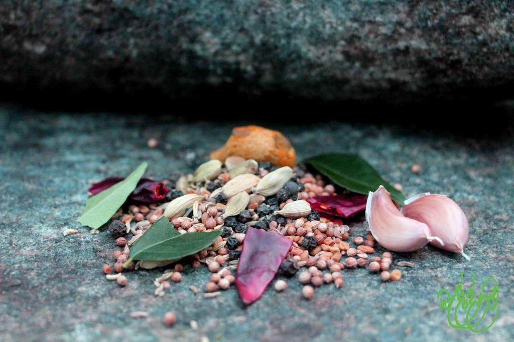 Yala Beddegama Eco Otel Kataragama Dış mekan fotoğraf