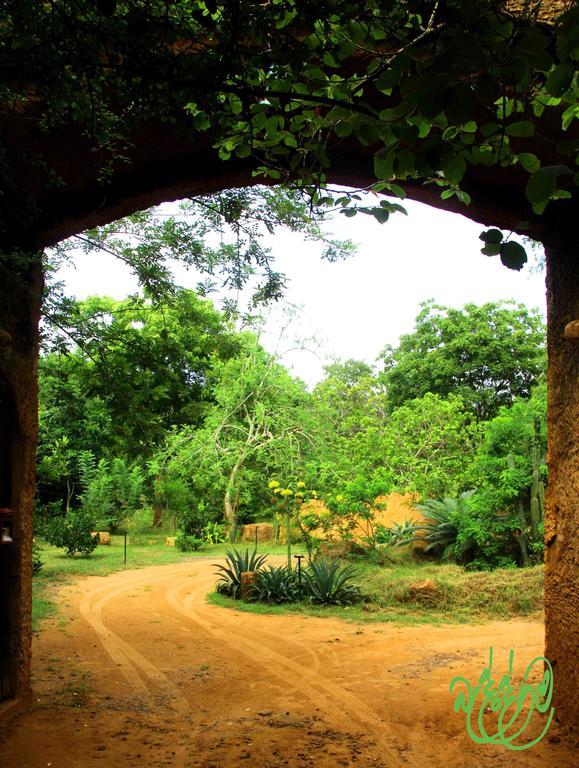 Yala Beddegama Eco Otel Kataragama Dış mekan fotoğraf
