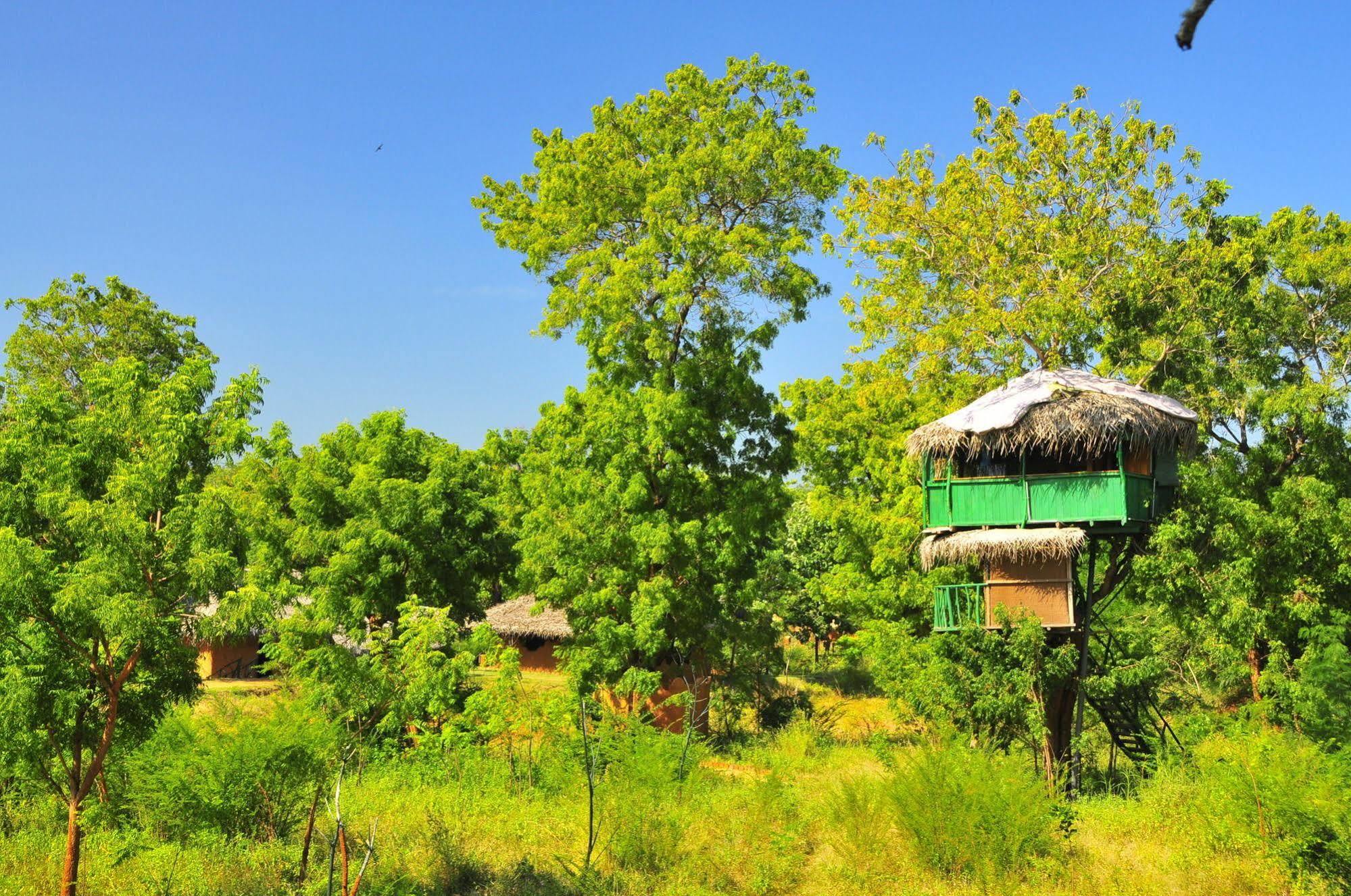 Yala Beddegama Eco Otel Kataragama Dış mekan fotoğraf