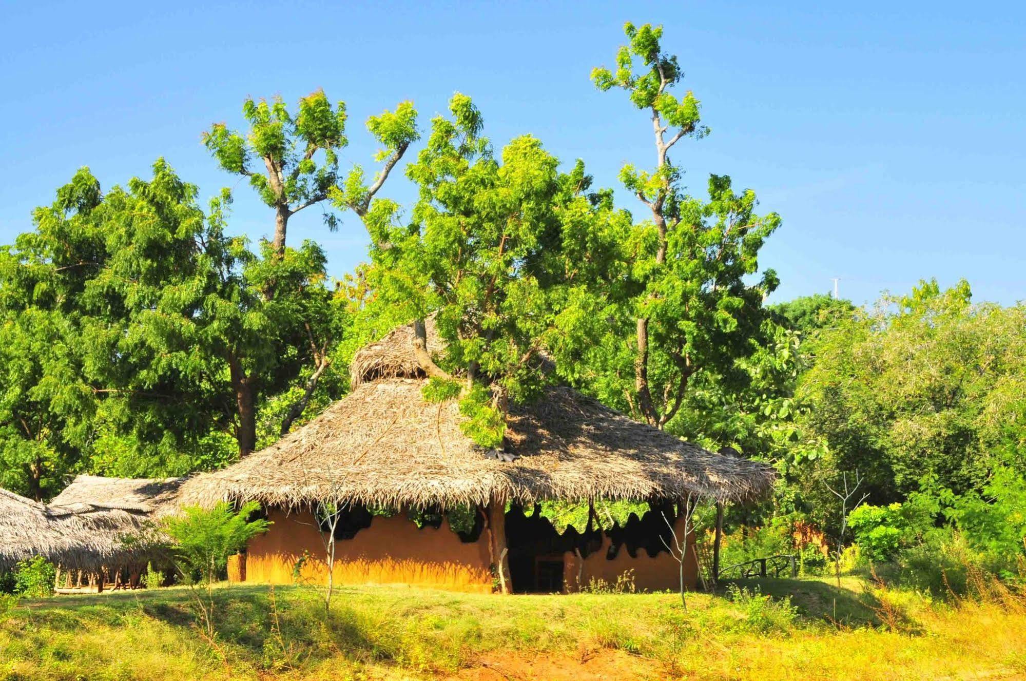 Yala Beddegama Eco Otel Kataragama Dış mekan fotoğraf